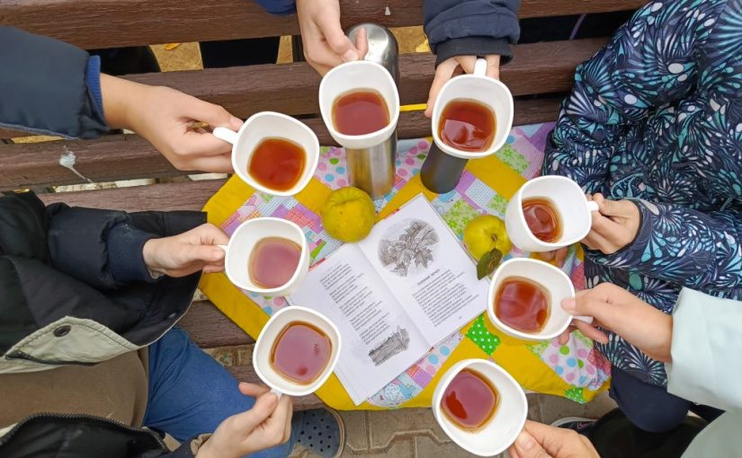 Прогулка по осеннему парку