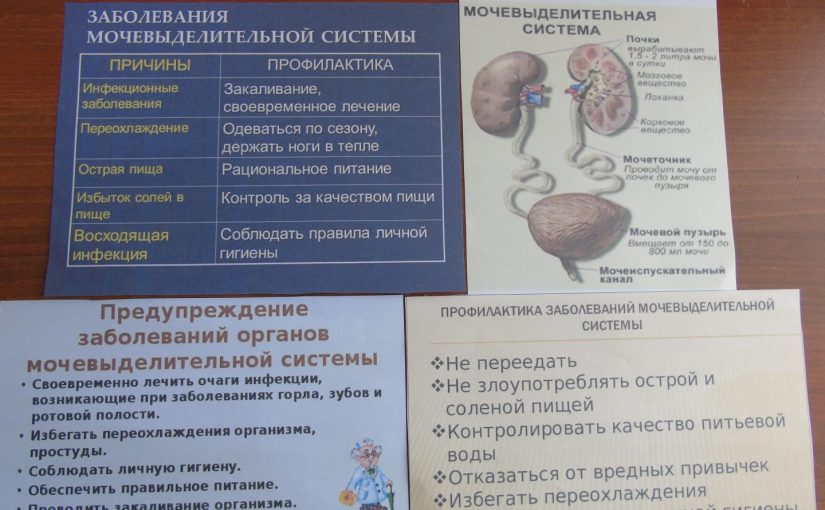 Наримановские  пенсионеры обучаются в «Школе ухода»